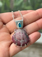 The Sea Collectors Shell Pendant