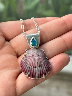 The Sea Collectors Shell Pendant