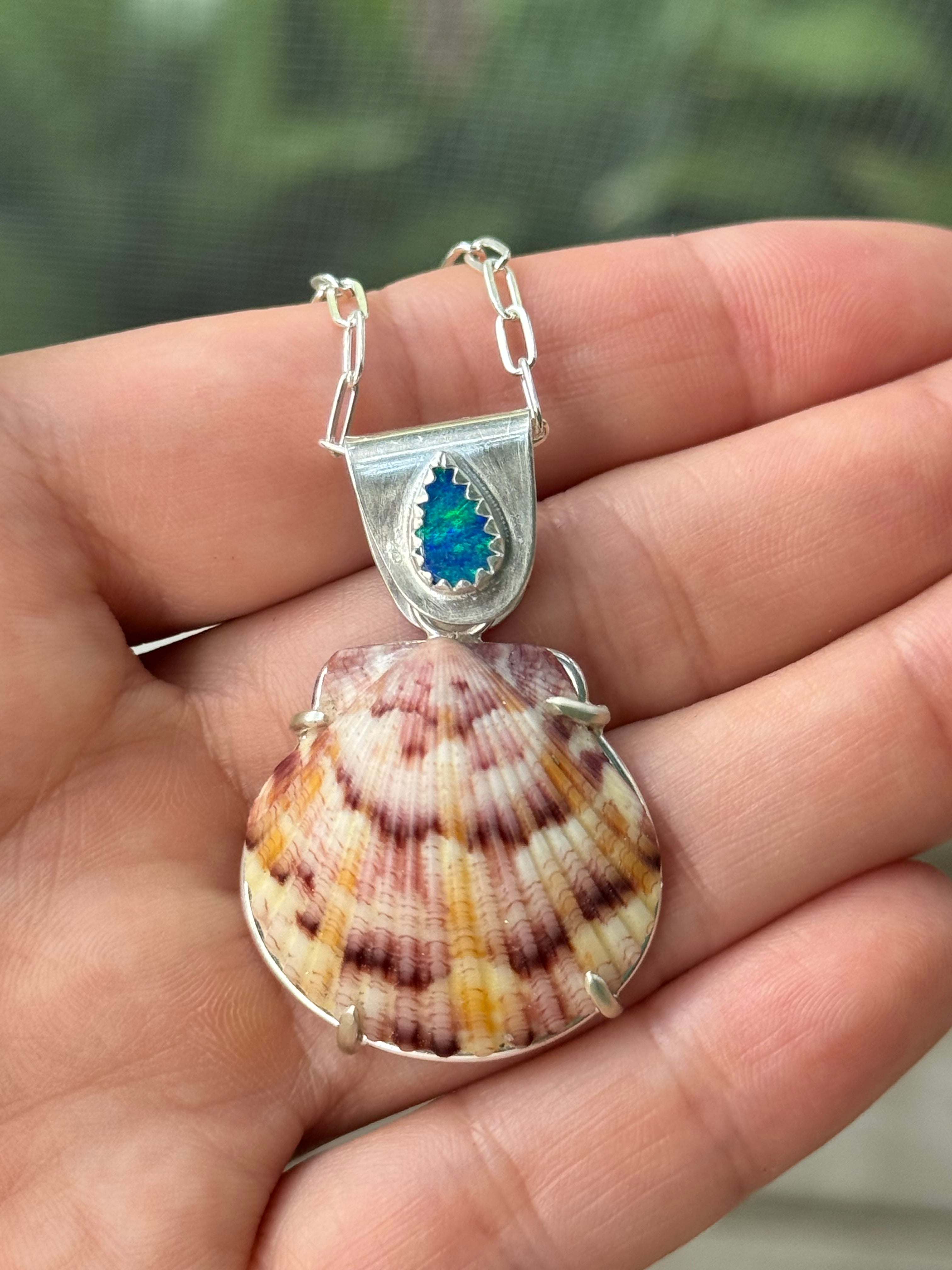 The Sea Collectors Shell Pendant