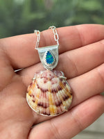 The Sea Collectors Shell Pendant
