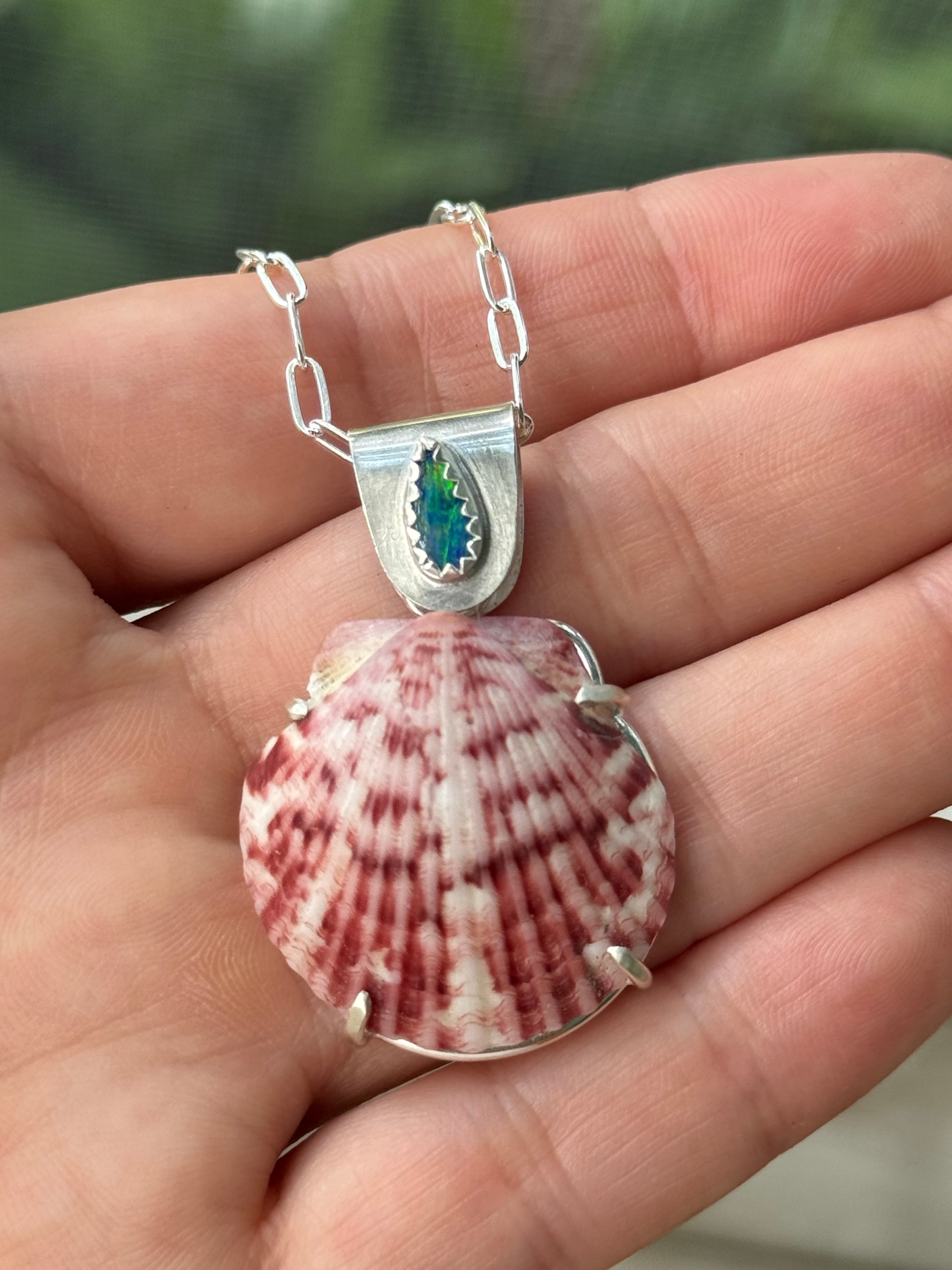 The Sea Collectors Shell Pendant