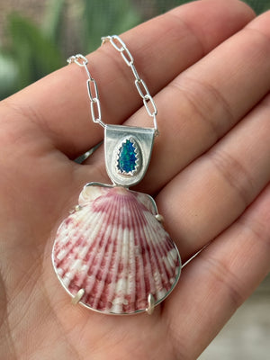 The Sea Collectors Shell Pendant