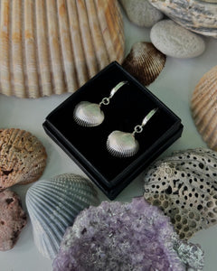 Shell Hoop Earrings