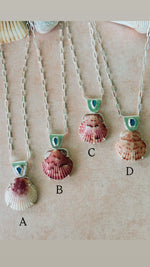 The Sea Collectors Shell Pendant
