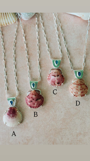 The Sea Collectors Shell Pendant