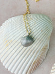 Cast Shell Pendant Necklace - Bronze/Goldfill