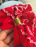 Brass Bandana Slide - Red Bandana