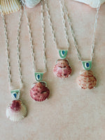 The Sea Collectors Shell Pendant