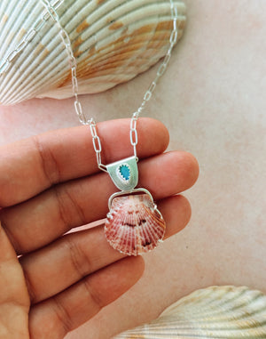 The Sea Collectors Shell Pendant