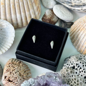 Cone Shell Studs