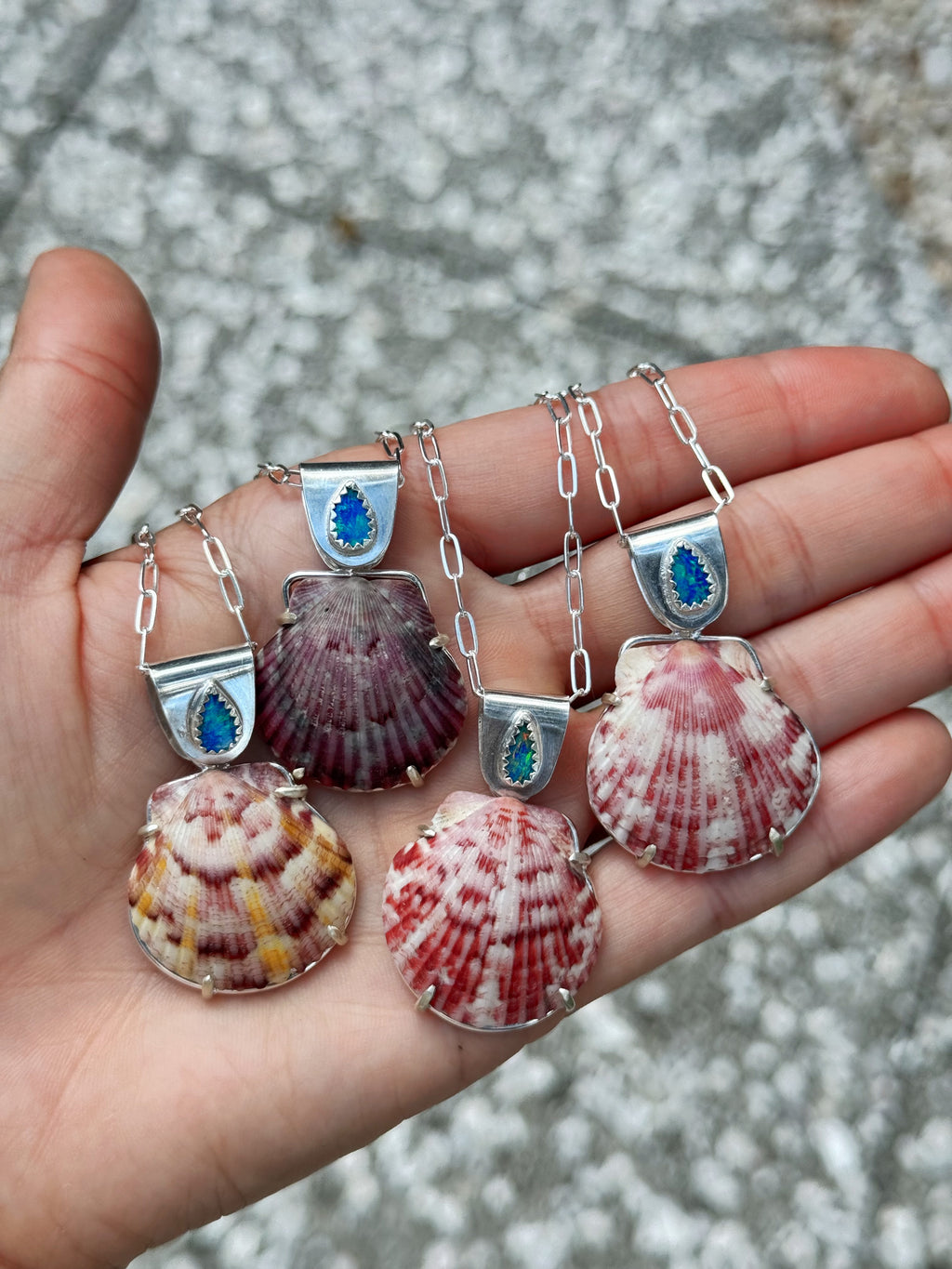 The Sea Collectors Shell Pendant