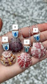 The Sea Collectors Shell Pendant
